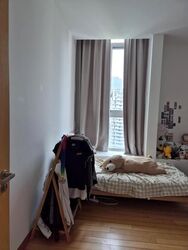 Paterson Residence (D9), Condominium #637497841